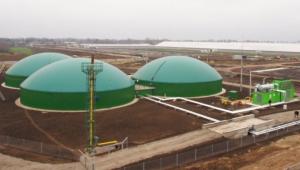 Le centrali a biomasse sono davvero eco? Pro e contro