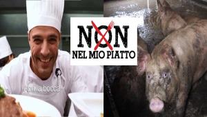 Alimentazione sostenibile, CIWF lancia lo spot contro gli allevamenti intensivi