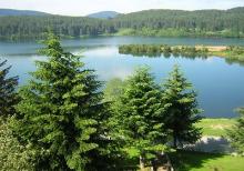 Parco NAzionale della Sila Patrimonio dell'UNESCO