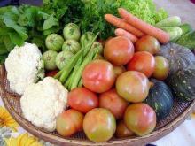 Agricoltura naturale, multifunzionale e Ogm free: gli italiani la preferiscono così