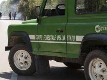 Associazioni scrivono al Senato: non sciogliete il Corpo Forestale