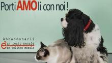 Campagna dei veterinari contro abbandono di animali in estate
