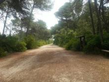 Commissione Ue visita Le Cesine, biodiversità incrementata