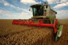 Fao: Produzione agricola 2014