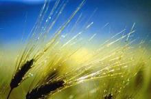 http://www.earthday.it/Edi.it/News/Dal-risparmio-economico-a-quello-per-l-ambiente-ecco-perche-scegliere-i-pannolini-lavabili