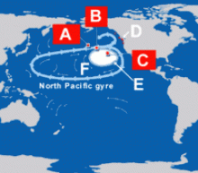 Isola di plastica nel Pacifico