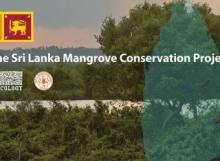 Sri Lanka protegge tutte le sue foreste di mangrovie. E’ il primo Stato al mondo a farlo - See more at: http://www.greenreport.it/news/aree-protette-e-biodiversita/sri-lanka-protegge-tutte-le-sue-foreste-di-mangrovie-e-il-primo-stato-al-mondo-a-farlo-vide