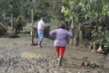 Nell'ultimo triennio in Italia il clima impazzito è costato 1,5 miliardi all'agricoltura