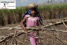 Epidemia mortale tra i tagliatori di canna da zucchero del Nicaragua
