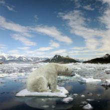 Riscaldamento globale: il 2014 è l’anno più caldo di sempre