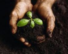 Biodiversità: è il primo valore per la Cia