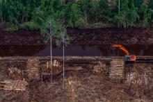 Il Banco Santander "taglia" APRIL a causa della deforestazione