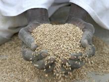  "Spingi e tira", la rivincita dei contadini africani. Altro che EXPO 