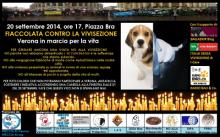 Fiaccolata contro la Vivisezione