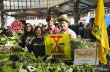 Il Consiglio di Stato contro gli ogm