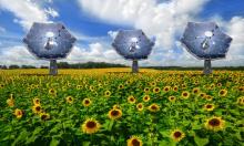 IBM presenta i girasoli, generatori elettrici con solare termodinamico e fotovoltaico