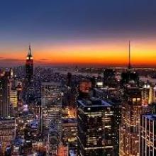 New York è la città più vegan friendly d’America 