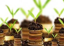 Green economy