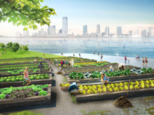 Progetto per utilizzare i rifiuti organici a New York