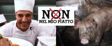 Alimentazione sostenibile, CIWF lancia lo spot contro gli allevamenti intensivi