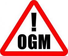 Ogm: la proposta della Commissione europea è una farsa