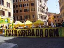 Tar del Lazio rigetta ricorso ogm in Friuli