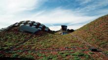 Il tetto verde di Renzo Piano