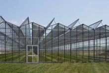 Bonus irpef colpisce le energie rinnovabili in agricoltura