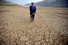 Settimana globale del suolo