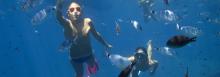 Snorkeling a Finale Ligure