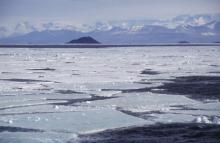 Gli Stati Uniti autorizzano le trivellazioni nell’Artico