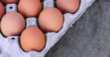 Giornata Mondiale Salute: tema centrale la sicurezza alimentare